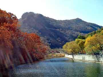 新澳天天开奖资料大全旅游团，塑料化工